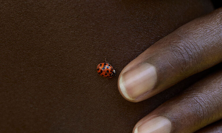 Ladybug on skin for Stella McCartney vegan luxury skincare